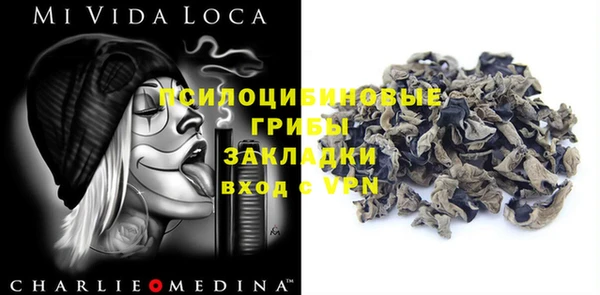 бошки Лабытнанги